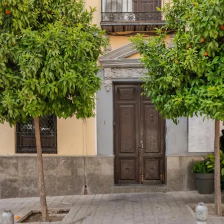 Daire Centro Granada